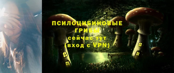 молекула духа Иннополис