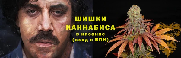 сатива Зеленокумск