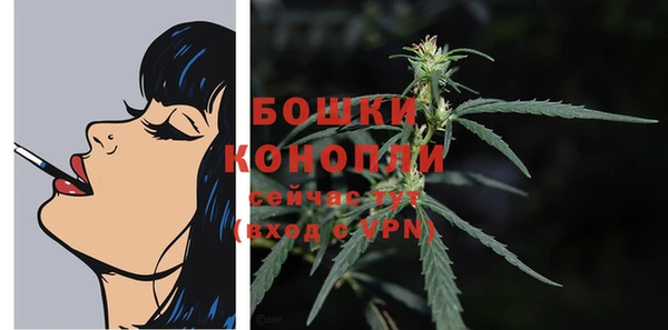 сатива Зеленокумск
