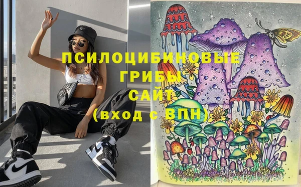 мяу мяу мука Зерноград