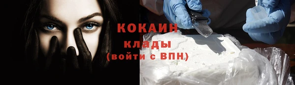 сатива Зеленокумск