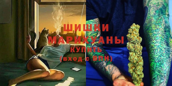 сатива Зеленокумск