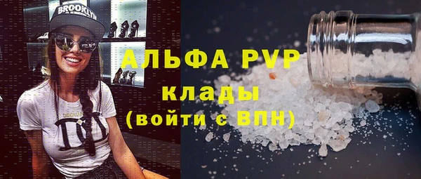 сатива Зеленокумск