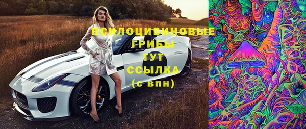 мяу мяу мука Зерноград