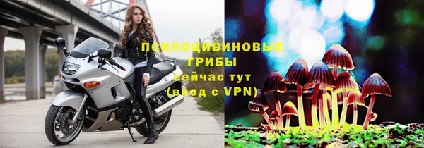 ГАЛЛЮЦИНОГЕННЫЕ ГРИБЫ Инта