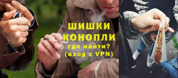 сатива Зеленокумск