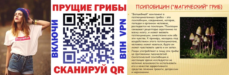 Псилоцибиновые грибы Psilocybe Борисоглебск